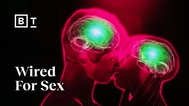 Our primordial drive for sex and love | Helen Fisher